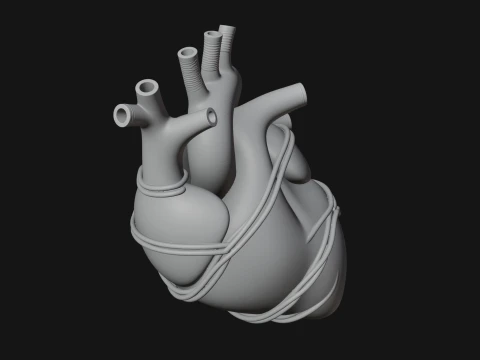 Anatomical Human Heart Model Design 4 - 3D Print Model Model do druku 3D