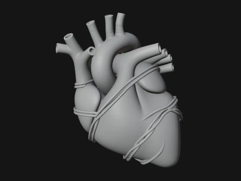 Anatomical Human Heart Model Design 4 - 3D Print Model Model do druku 3D
