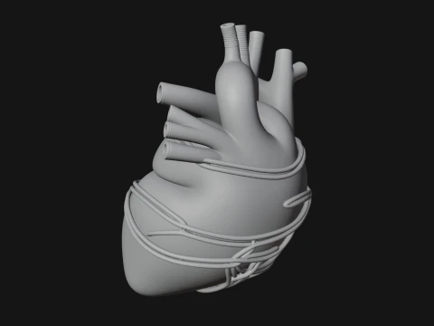 Anatomical Human Heart Model Design 4 - 3D Print Model Model do druku 3D