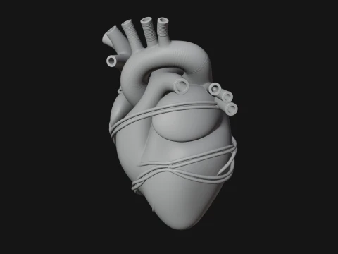 Anatomical Human Heart Model Design 4 - 3D Print Model Model do druku 3D