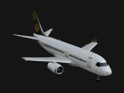 Airliner Plane Model Design 3 - 3D Print Model 3D Print Model