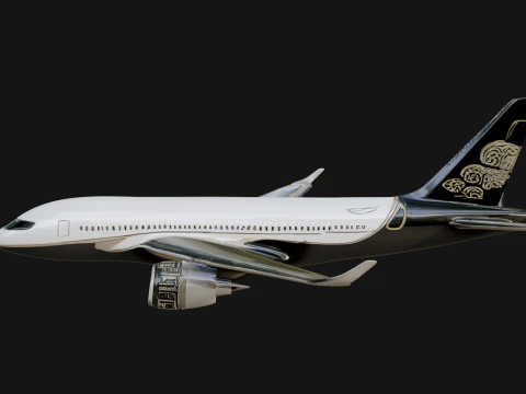 Airliner Plane Model Design 9 - 3D Print Model 3D Print Model