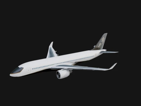 Airliner Plane Model Design 14 - 3D Print Model 3D Print Model