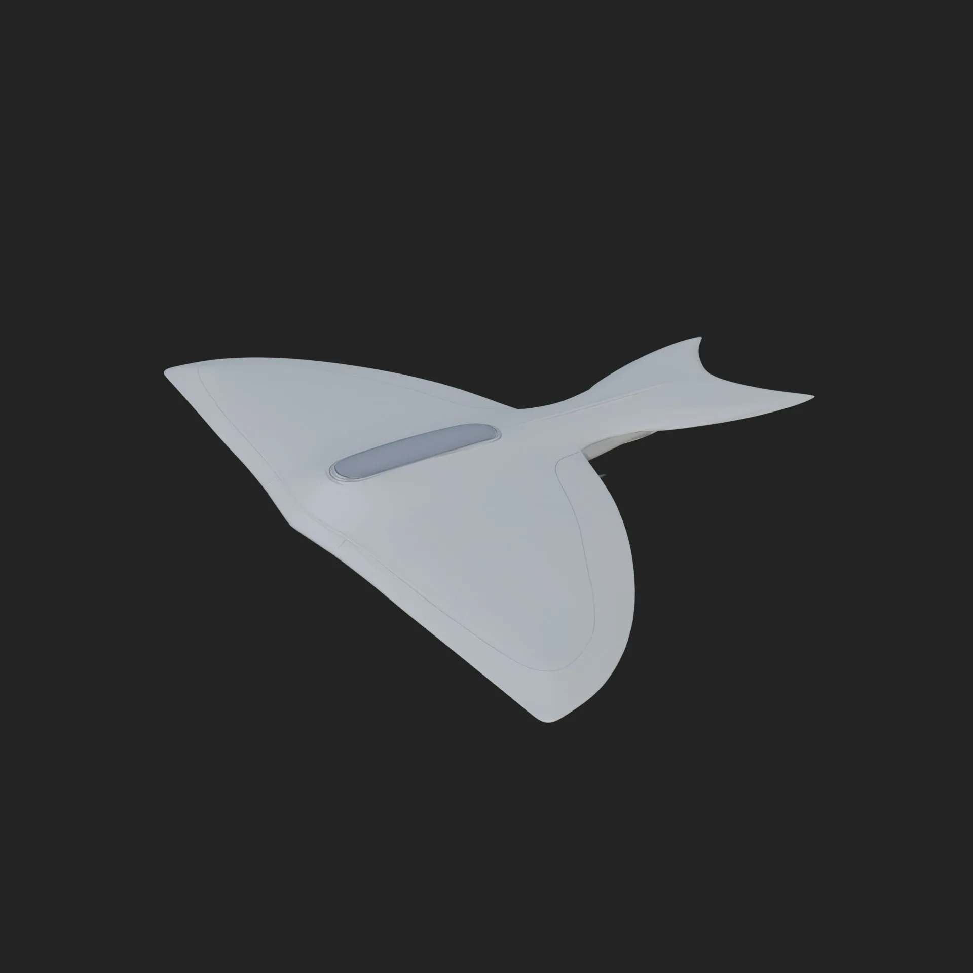 Stealth Bomber Plane Model Design 16 - 3D Print Model 3D Print Model .c4d .max .obj .3ds .fbx .stl .blend