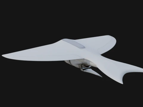 Stealth Bomber Plane Model Design 16 - 3D Print Model 3D Print Model