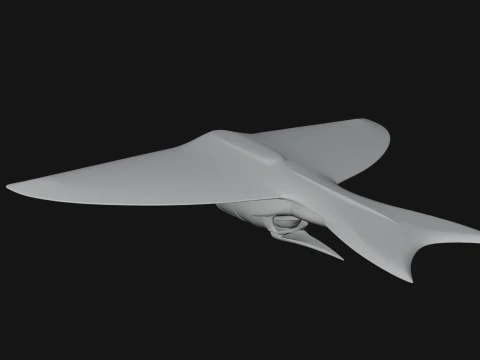 Stealth Bomber Plane Model Design 16 - 3D Print Model 3D Print Model