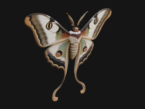 Giant Moth Statue Design 1 - 3D Print Model Modello di stampa 3D