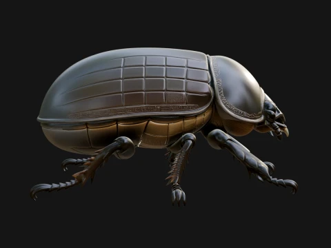 Beetle Statue Design 2 - 3D Print Model 3D 打印模型