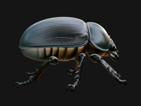 Beetle Statue Design 5 - 3D Print Model 3D 打印模型