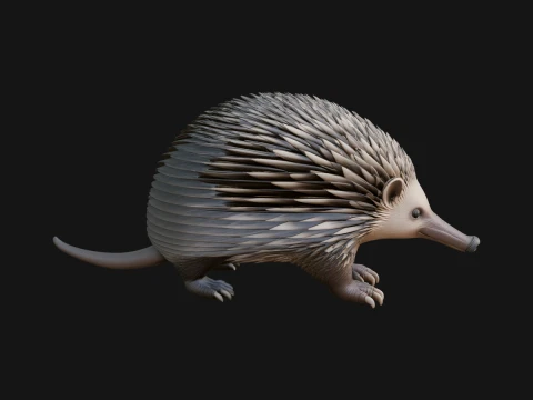 Echidna Statue Design 1 - 3D Print Model Model do druku 3D
