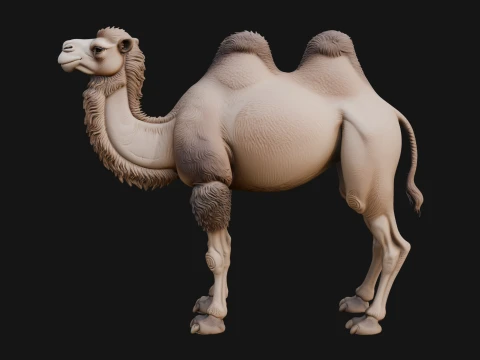 Bactrian Camel Statue Design 1 - 3D Print Model 3D Print Model