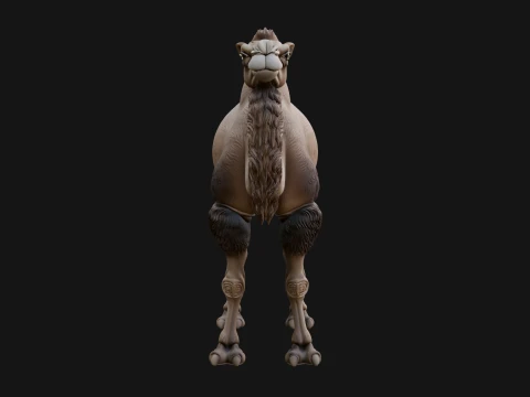 Bactrian Camel Statue Design 1 - 3D Print Model 3D Print Model
