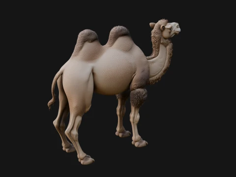 Bactrian Camel Statue Design 1 - 3D Print Model 3D Print Model