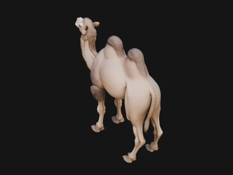 Bactrian Camel Statue Design 1 - 3D Print Model 3D Print Model
