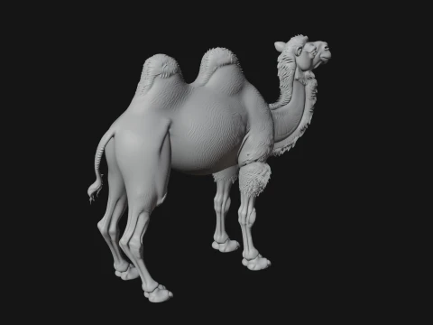Bactrian Camel Statue Design 1 - 3D Print Model 3D Print Model