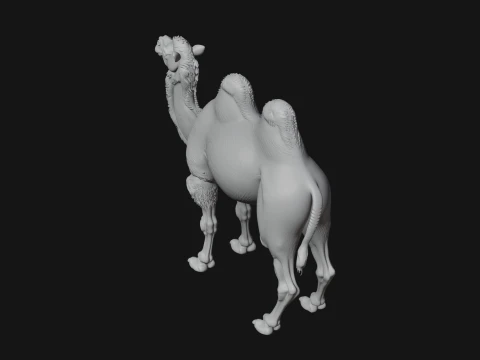 Bactrian Camel Statue Design 1 - 3D Print Model 3D Print Model