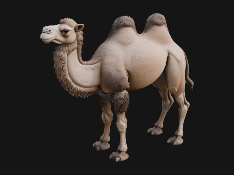Bactrian Camel Statue Design 1 - 3D Print Model 3D Print Model