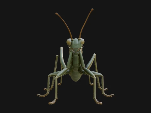 Katydid Statue Design 1 - 3D Print Model 3D Print Model