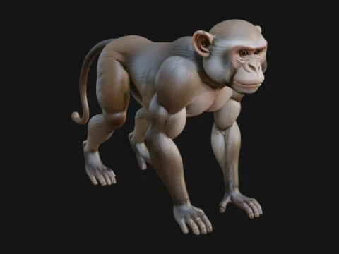 Baboon Statue Design 4 - 3D Print Model 3D Print Model