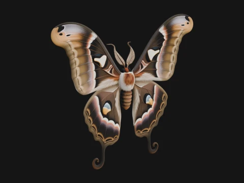Giant Moth Statue Design 7 - 3D Print Model 3D Print Model