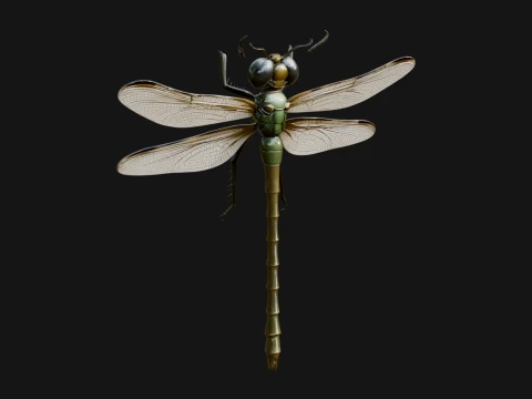 Dragonfly Statue Design 3 - 3D Print Model 3D 打印模型
