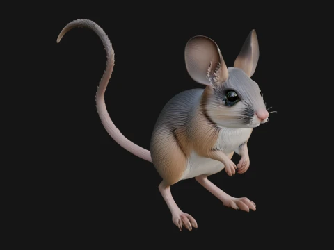 Jerboa Statue Design 2 - 3D Print Model 3D Print Model