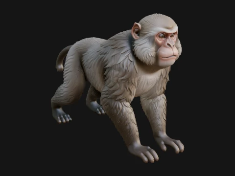 Monkey Statue Design 12 - 3D Print Model 3D 프린트 모델