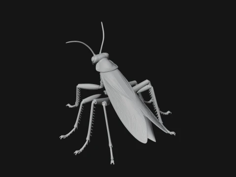 Praying Mantis Statue Design 5 - 3D Print Model 3D Print Model