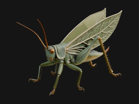 Katydid Statue Design 3 - 3D Print Model 3D Print Model