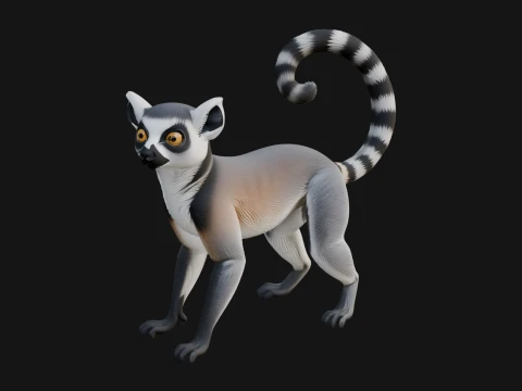 Ring Tailed Lemur Statue Design 2 - 3D Print Model 3D 프린트 모델