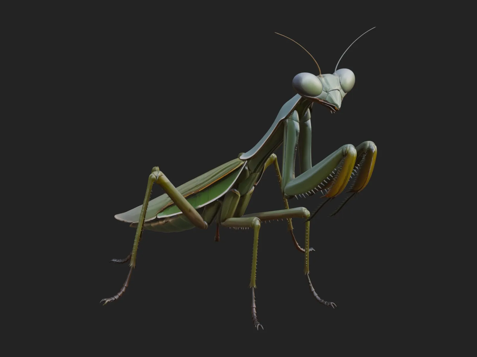 Praying Mantis Statue Design 6 - 3D Print Model 3D Print Model .c4d .max .obj .3ds .fbx .stl .blend 