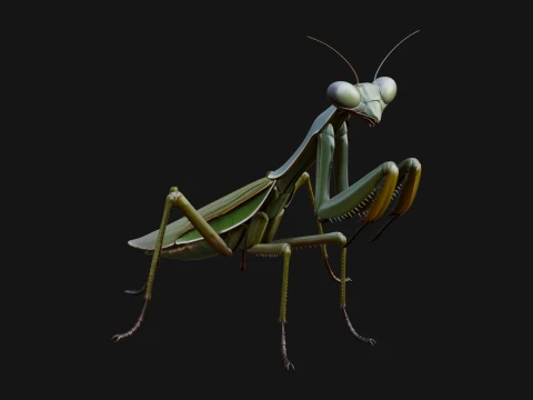 Praying Mantis Statue Design 6 - 3D Print Model 3D Print Model