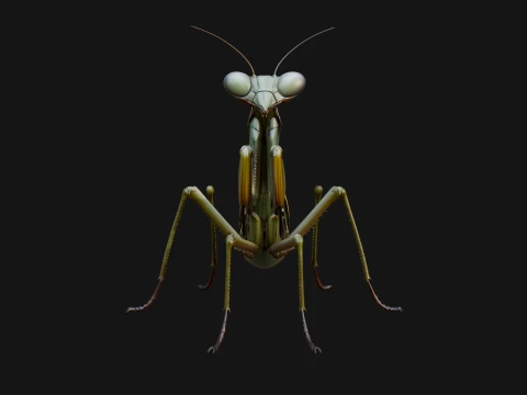 Praying Mantis Statue Design 6 - 3D Print Model 3D Print Model