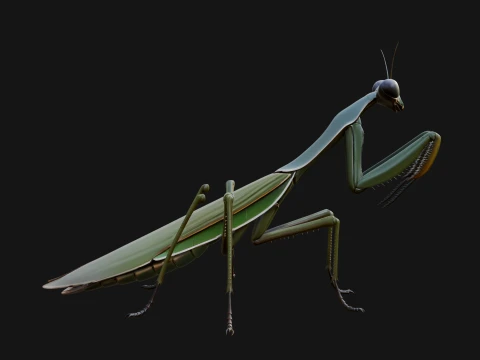 Praying Mantis Statue Design 6 - 3D Print Model 3D Print Model