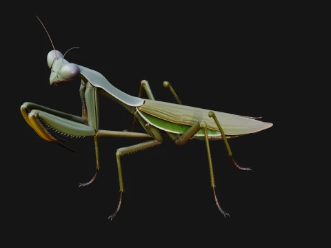 Praying Mantis Statue Design 6 - 3D Print Model 3D Print Model