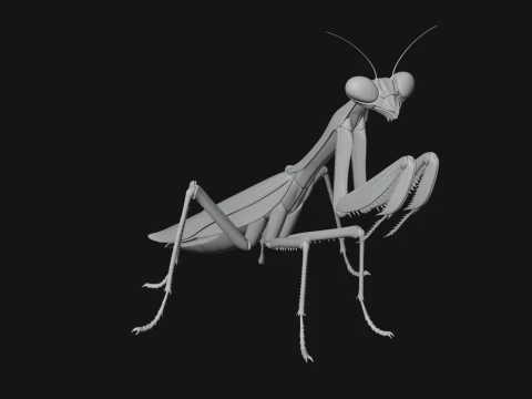 Praying Mantis Statue Design 6 - 3D Print Model 3D Print Model