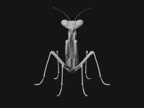 Praying Mantis Statue Design 6 - 3D Print Model 3D Print Model