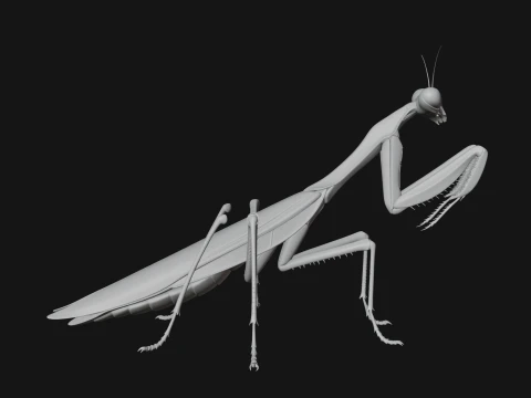 Praying Mantis Statue Design 6 - 3D Print Model 3D Print Model