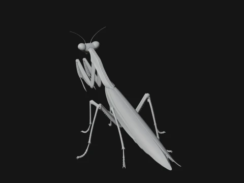 Praying Mantis Statue Design 6 - 3D Print Model 3D Print Model