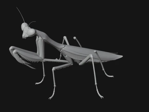 Praying Mantis Statue Design 6 - 3D Print Model 3D Print Model