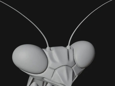 Praying Mantis Statue Design 6 - 3D Print Model 3D Print Model