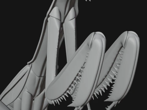Praying Mantis Statue Design 6 - 3D Print Model 3D Print Model