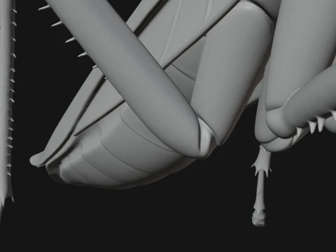 Praying Mantis Statue Design 6 - 3D Print Model 3D Print Model