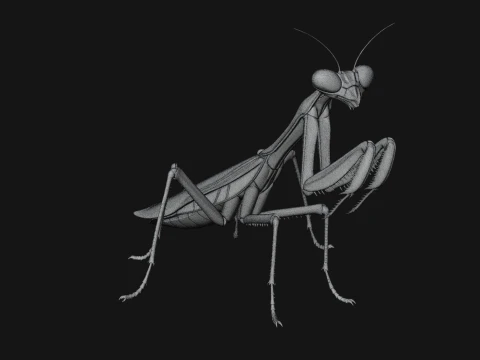 Praying Mantis Statue Design 6 - 3D Print Model 3D Print Model