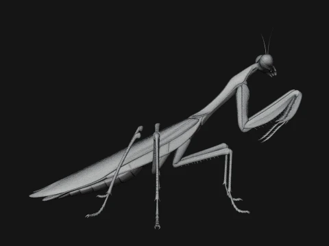 Praying Mantis Statue Design 6 - 3D Print Model 3D Print Model