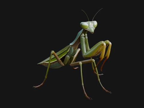 Praying Mantis Statue Design 7 - 3D Print Model 3D printmodel