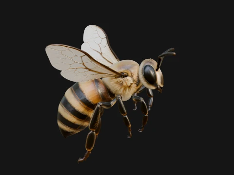Honey Bee Statue Design 5 - 3D Print Model 3D Print Model