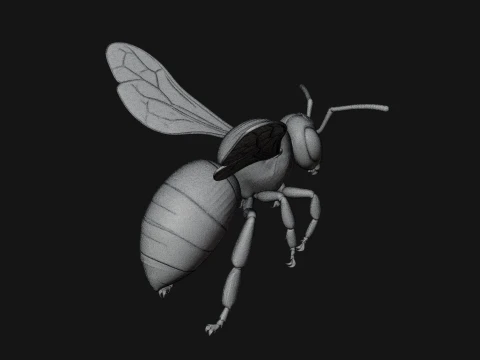 Honey Bee Statue Design 5 - 3D Print Model 3D Print Model