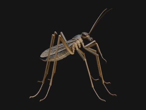 Long Legged Fly Statue Design 1 - 3D Print Model Modelo de impresión 3D