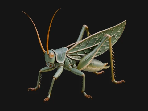 Katydid Statue Design 6 - 3D Print Model 3D Print Model